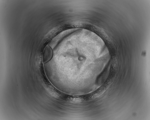 X0000100960645200807081243