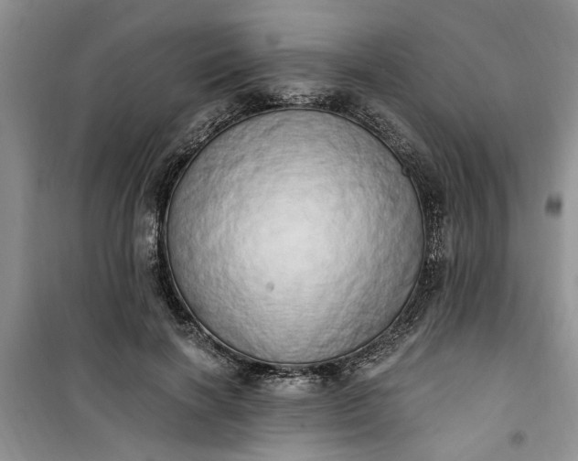 X0000100960646200807081243