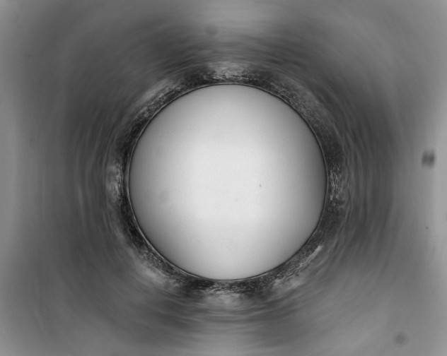 X0000100960648200807081243