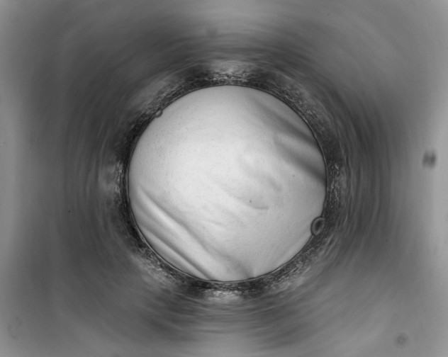 X0000100960649200807081243