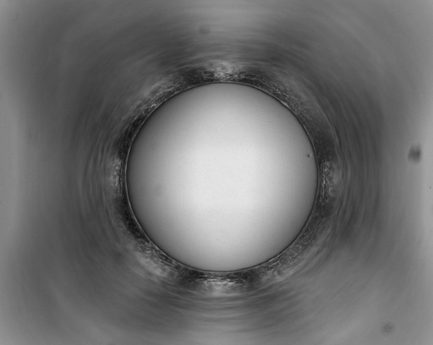 X0000100960650200807081243