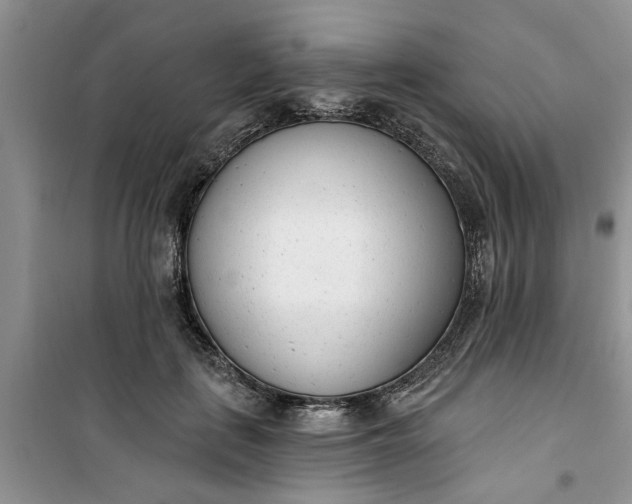 X0000100960651200807081243