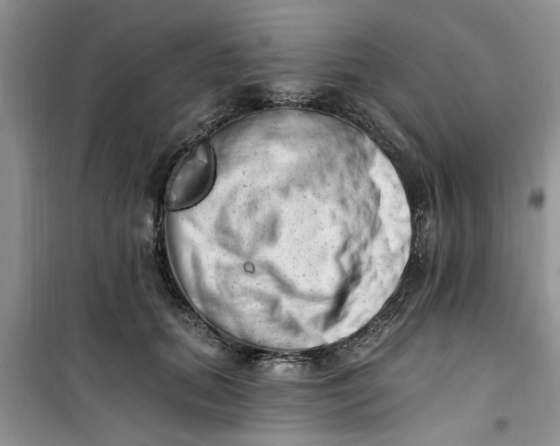 X0000100960655200807081243