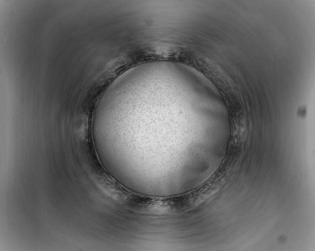 X0000100960656200807081243