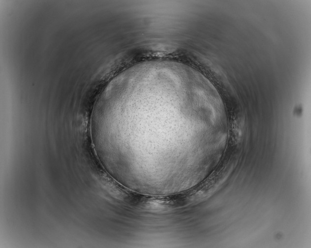 X0000100960657200807081243