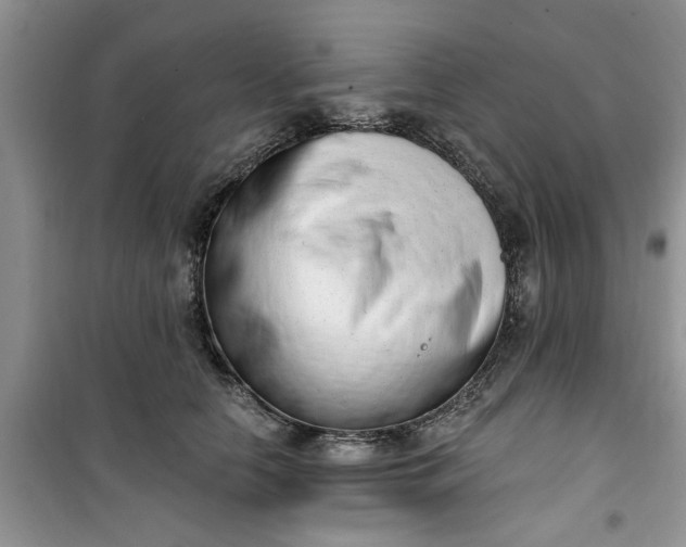 X0000100960658200807081243