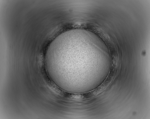 X0000100960659200807081243