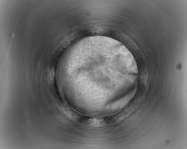 X0000100960660200807081243