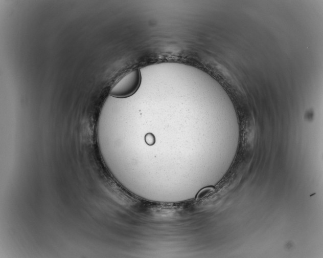 X0000100960661200807081243