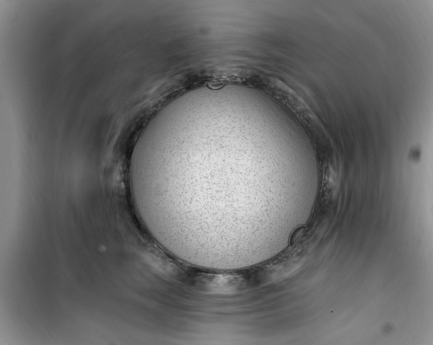 X0000100960663200807081243