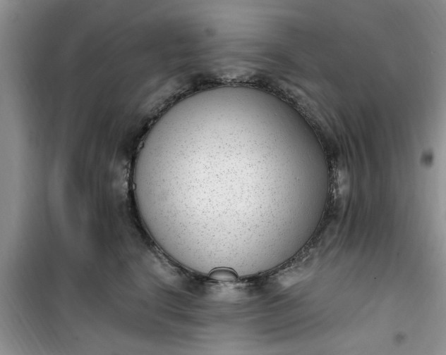 X0000100960664200807081243