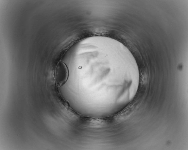 X0000100960666200807081243