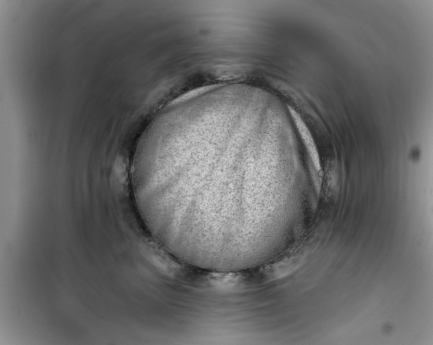 X0000100960667200807081243