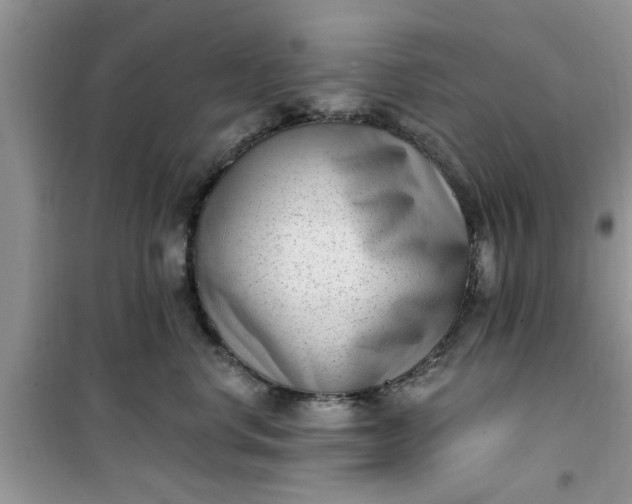 X0000100960668200807081243