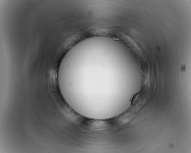 X0000100960669200807081243