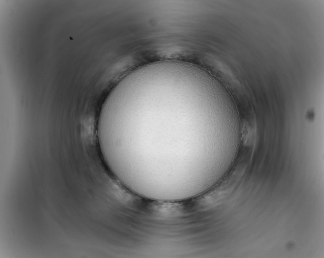 X0000100960670200807081243