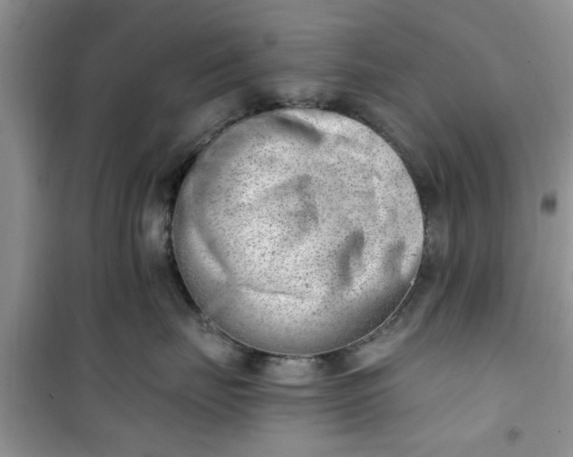 X0000100960671200807081243