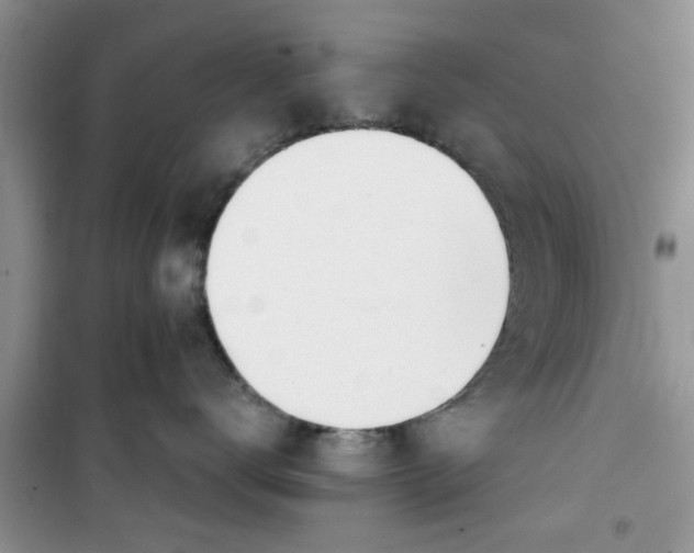 X0000100960672200807081243