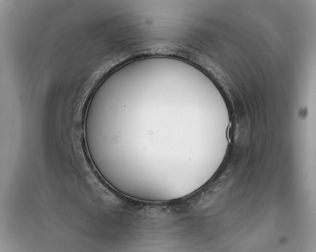 X0000100960673200807081242