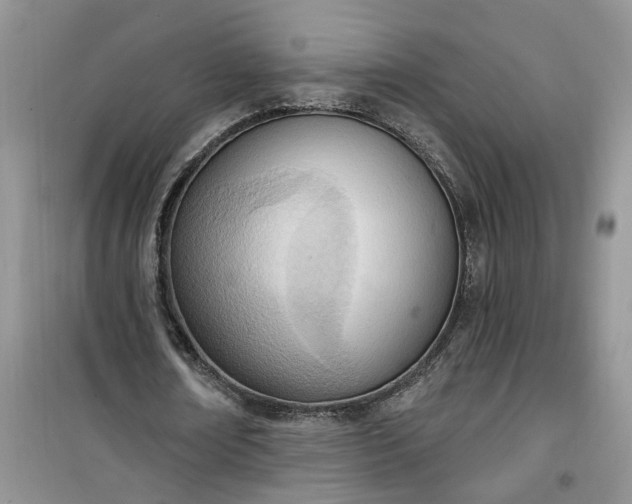 X0000100960674200807081242