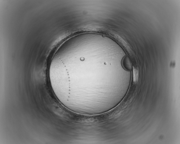 X0000100960675200807081242