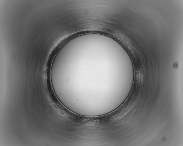 X0000100960676200807081242