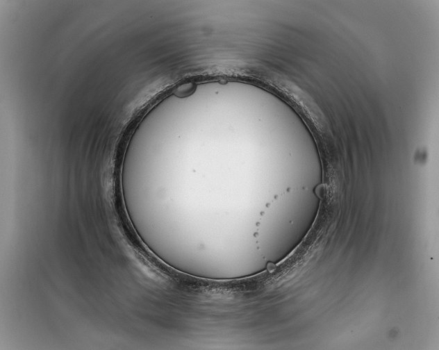 X0000100960677200807081242