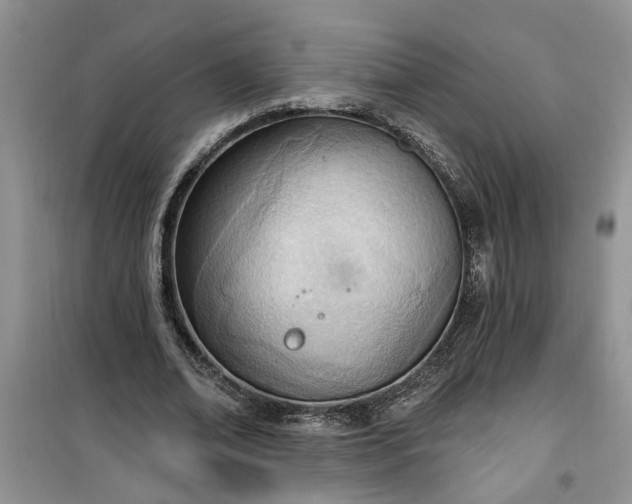 X0000100960678200807081242