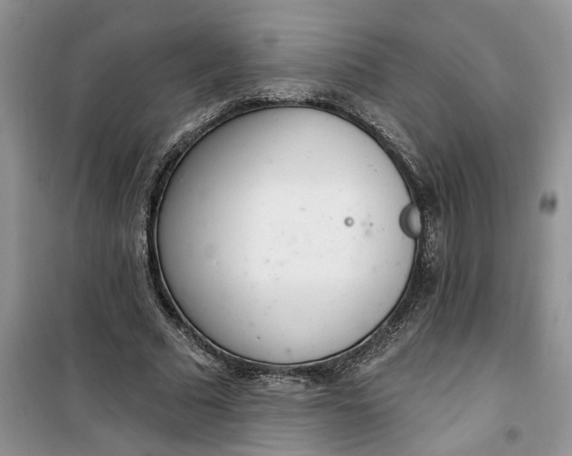 X0000100960681200807081242