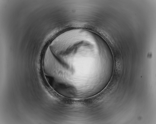 X0000100960682200807081242