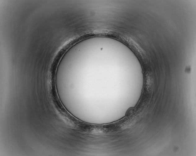 X0000100960684200807081242