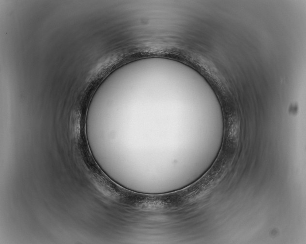 X0000100960685200807081242