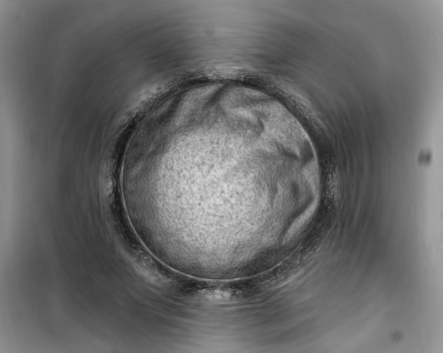 X0000100960687200807081242