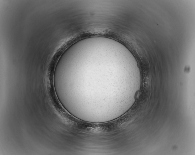 X0000100960688200807081242