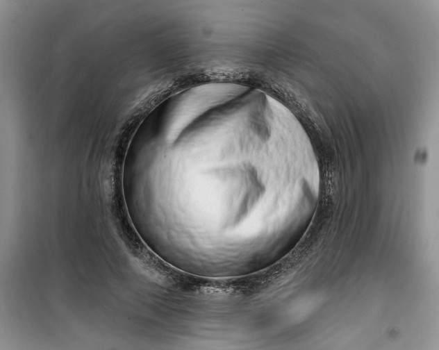 X0000100960690200807081242