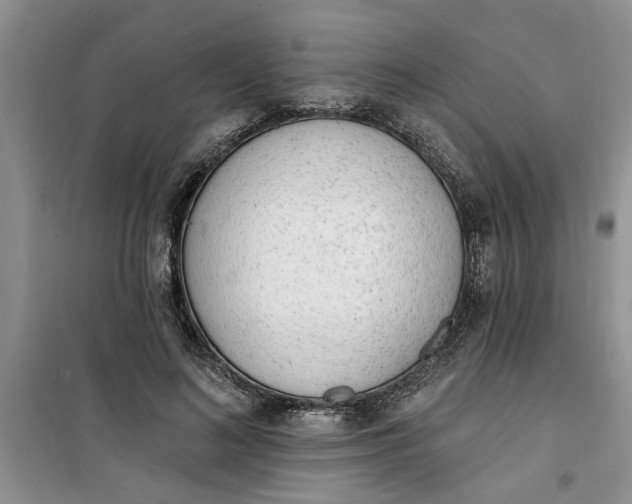 X0000100960692200807081242