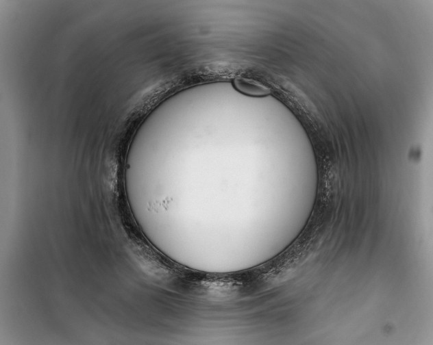 X0000100960693200807081242