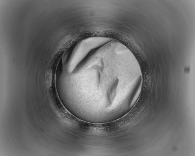 X0000100960694200807081242