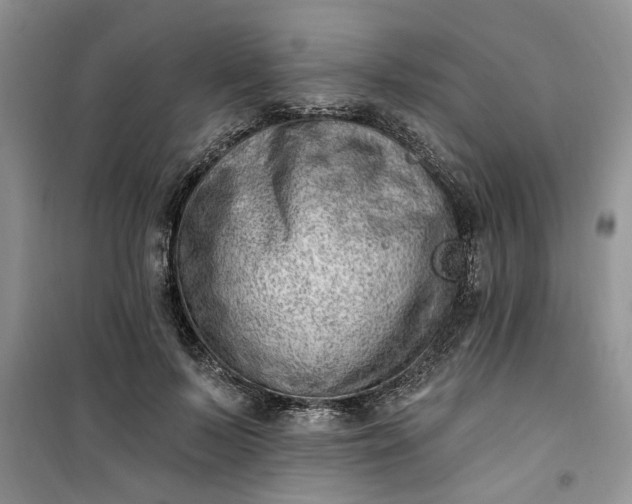 X0000100960695200807081242