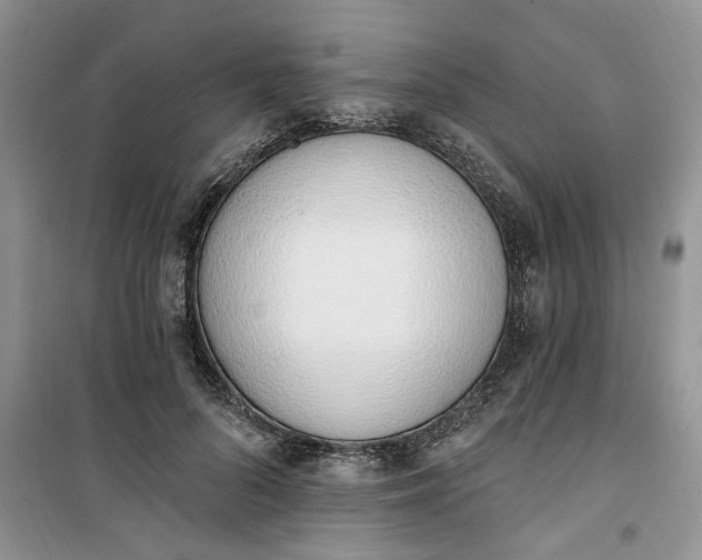 X0000100960696200807081242