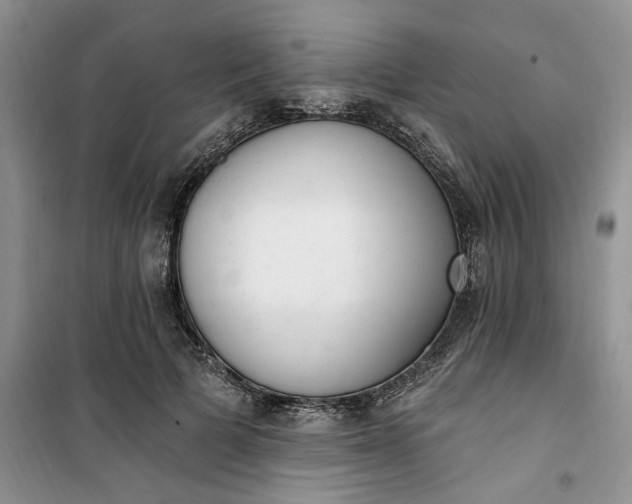 X0000100960697200807081242