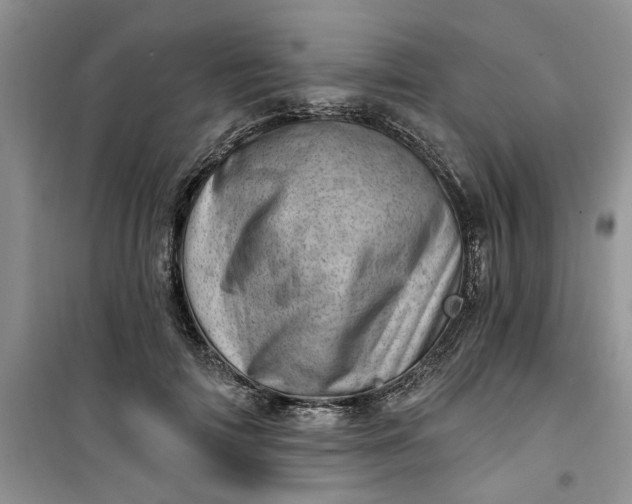 X0000100960698200807081242