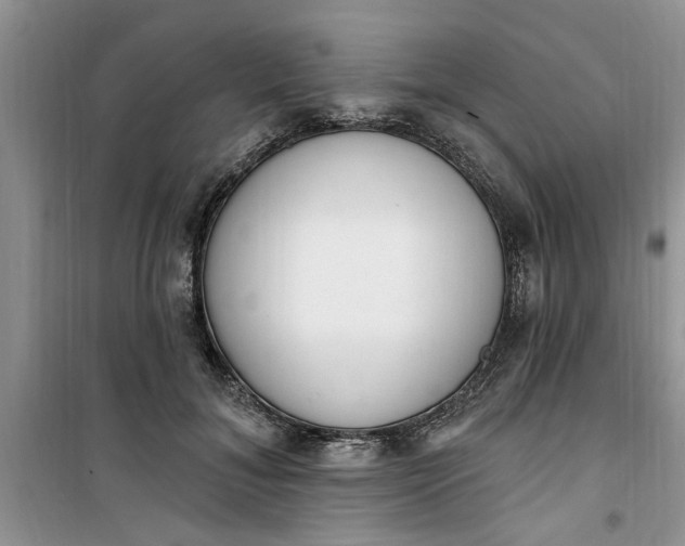 X0000100960700200807081242