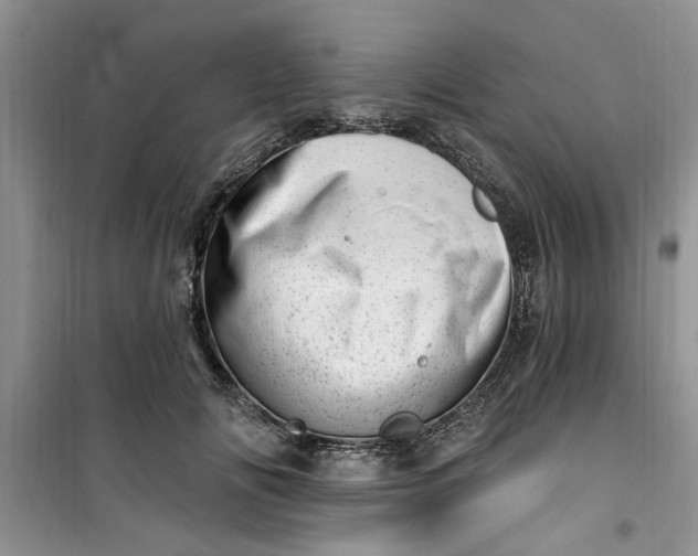 X0000100960702200807081242