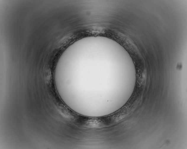 X0000100960704200807081242