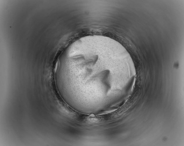 X0000100960706200807081242