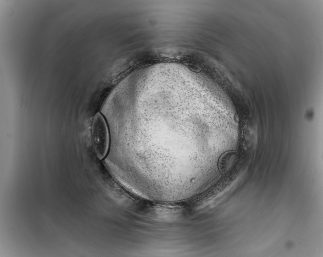 X0000100960707200807081242