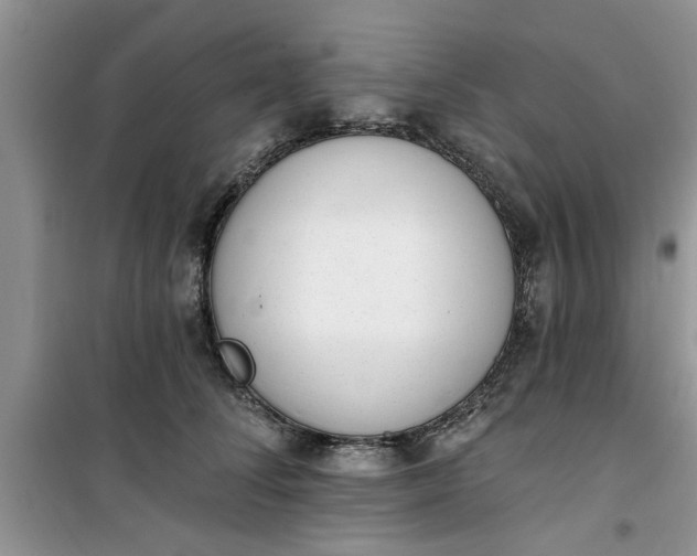 X0000100960708200807081242