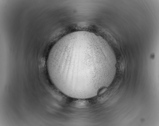 X0000100960711200807081242