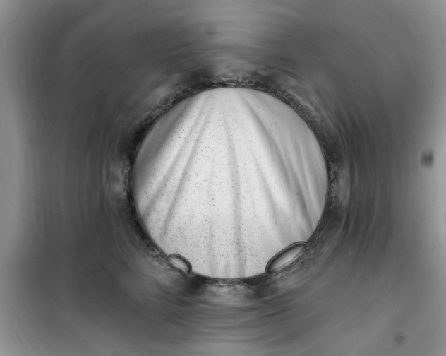 X0000100960712200807081242